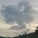 苏