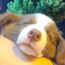 用户12786787的头像-博士钣金 - www.bsbanjin.com