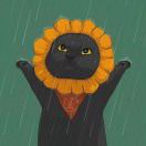 Yuan J的头像-风行者社区