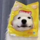 阿南
