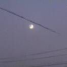 肉肉的无花果的头像-小果迷