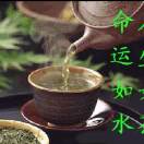 蔡雨舒