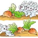 冰点～美杜莎的眼