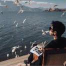 Lemon.的头像 - 浩宇工作室