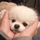 !的头像-日本！日本语