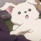 大鱼海棠的头像-博士钣金 - www.bsbanjin.com