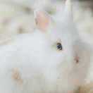 এ 唯依，⁵²⁰এ的头像-博士钣金 - www.bsbanjin.com