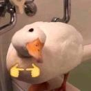 kasei nan的头像-日本！日本语