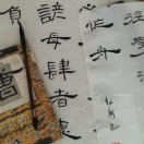 鹏哥