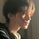张理想