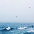 wx_酉30