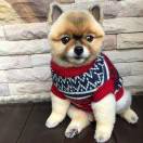 优众力