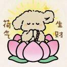 棉花🐶