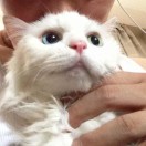 用户评价