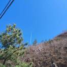 :ღ№④僷草の☀Master ☀