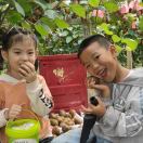 出售自家猕猴桃🥝