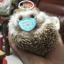 李桑的头像-日本！日本语