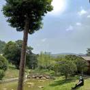 涂致宁的钢琴谱