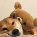 user_y8iyx56yz4t3mty4 member profile picture