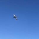 领航的头像-战友联盟