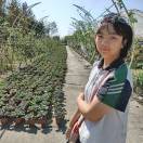 悠哈悠哈哉的头像-华闻时空