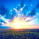 wx_老边20