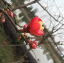 蔚蓝的天空
