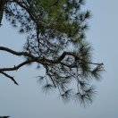 福祉(咨询类语音不回)
