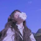 谢菲尔德求租