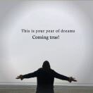 山河过客的头像-WordPress主题模板-zibll子比主题