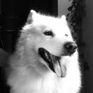 它山之上的头像-长游分享网