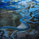 为革命事业现身