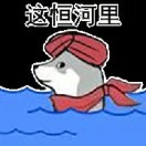 谢菲尔德求租