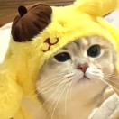 高๑^o^๑