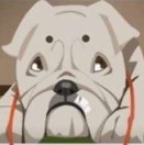 spikexu's Avatar