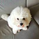 Quintain Living-Madison 转租&房东直租