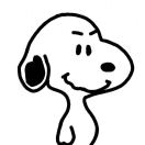 🌲🌲🌲的头像-梦马考研