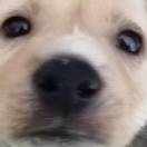 欧阳妮迪