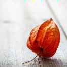 cscs的头像-日本！日本语