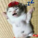 cxy
