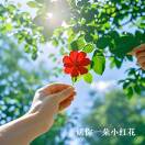 行动π|电商税务