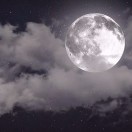 王先生的头像