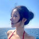 悉尼求租