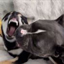 今天也是中奖的一天