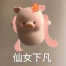 勤劳小蜜蜂✨