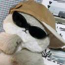 wu230382的头像-松纸工作室博客