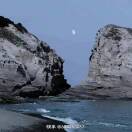 快乐的小海豹在挖坑的头像