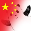 修乐的头像-熵减岛