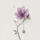 ᰔᩚ卷心菜