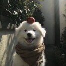 宋家乐